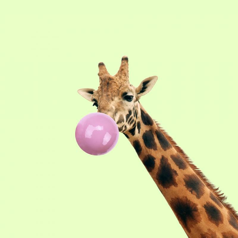 Kortárs művészet 22