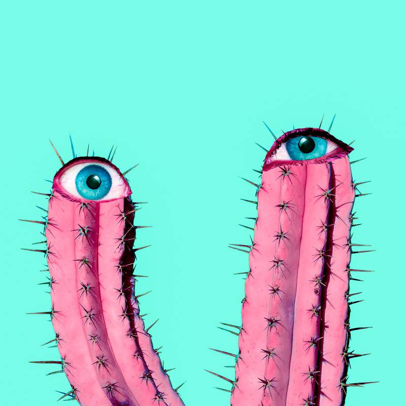 Kortárs művészet 24