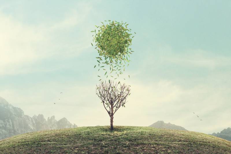 Szürrealista művészet 03